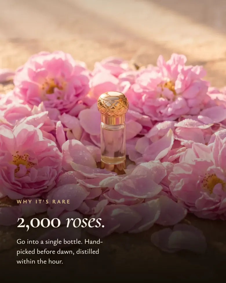 Tweeduizend rozen in één flesje