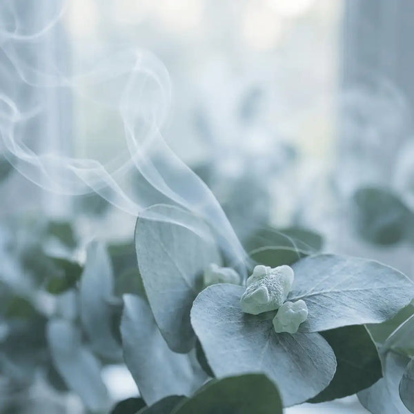 Cooling Eucalyptus Air
