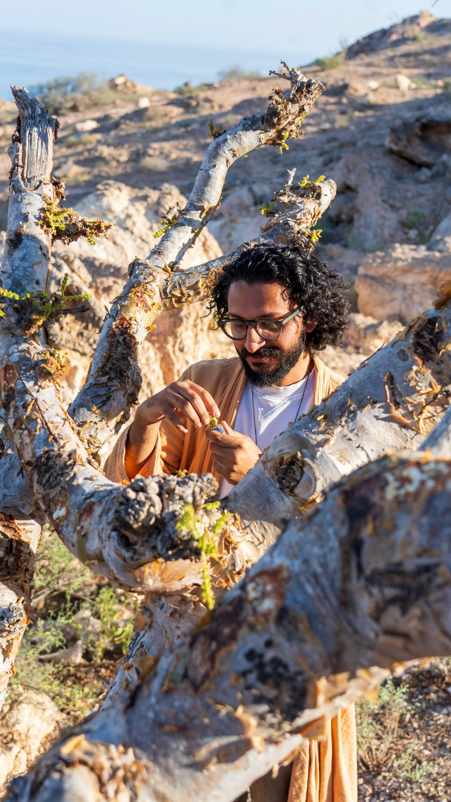 Sho tussen de Boswelliabomen in Dhofar, Oman, met een klein flesje wierookolie in zijn hand